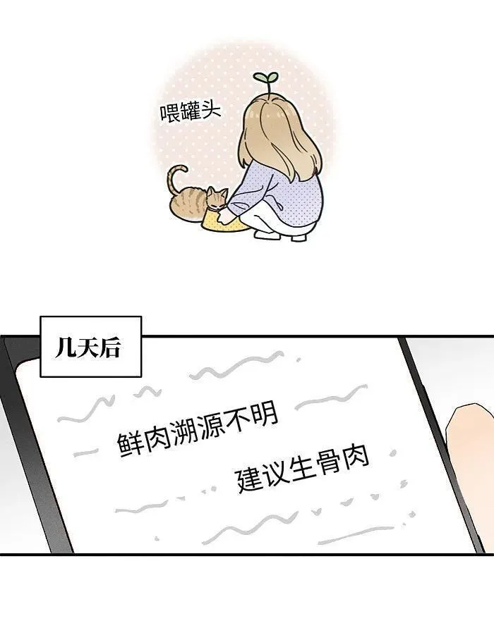 盐友漫画全集免费36话漫画,番外 裴心养猫记10图