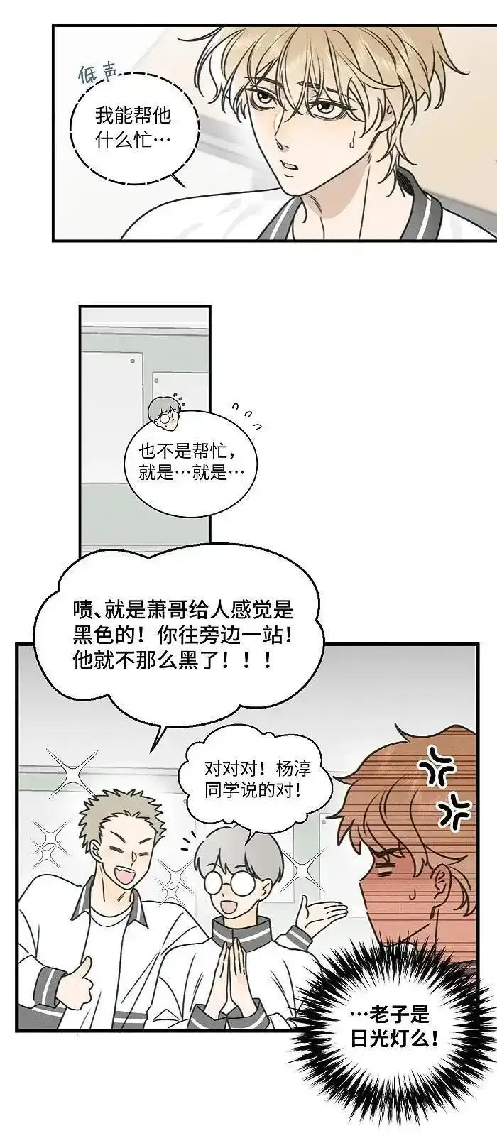 盐友漫画全集免费36话漫画,73 我们不会吵架的。20图