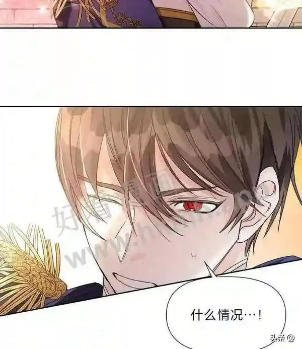 小公爵相信我吧第二季免费观看漫画,2.最后一场比试71图