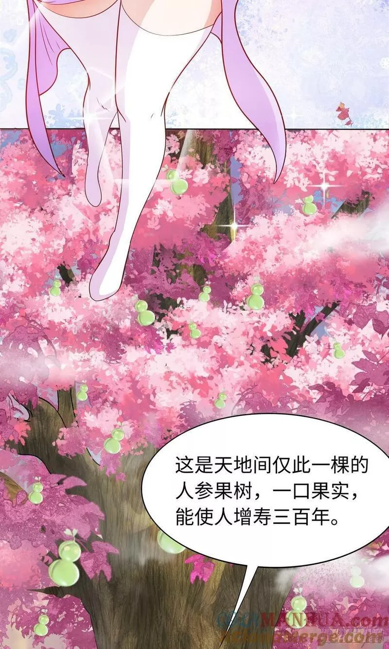 我掉落的宝物都成了妹子小说百度漫画,第24话 首登仙界40图