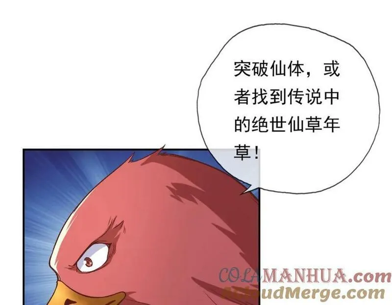 我可以无限顿悟73漫画,第72话 油尽灯枯31图