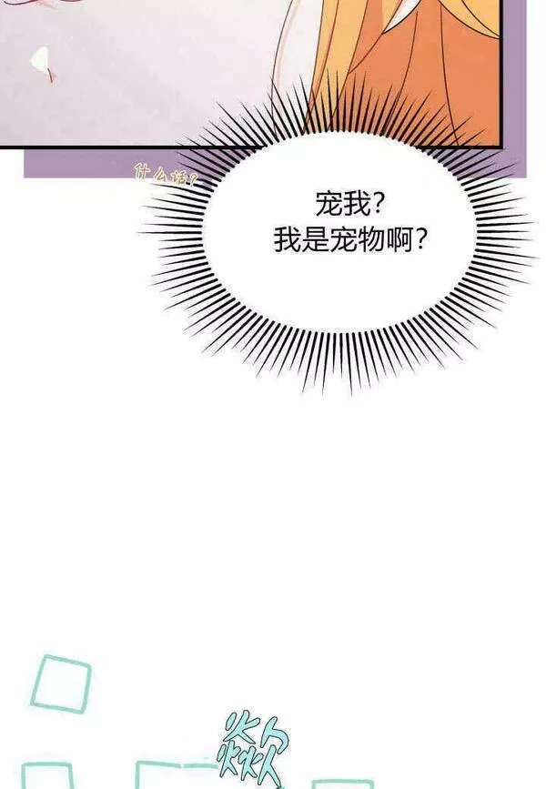 谢绝当鹊桥免费看漫画,第16话34图