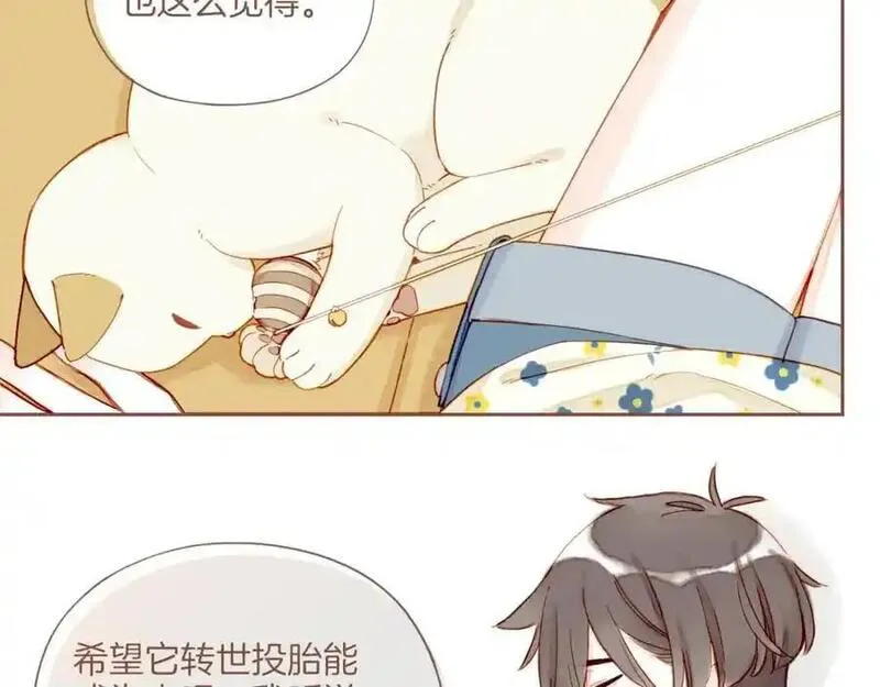 星星不可见漫画,第34话 受伤的话，会很疼吧？（上）66图