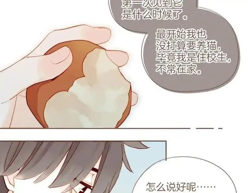 星星不可见漫画,第34话 受伤的话，会很疼吧？（上）62图