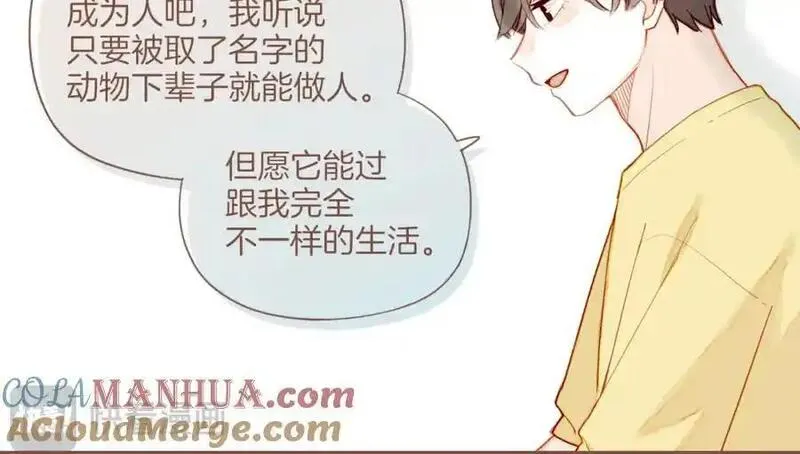 星星不可见漫画,第34话 受伤的话，会很疼吧？（上）67图