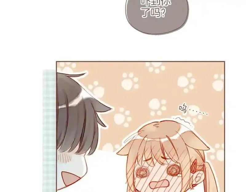 星星不可见漫画,第35话 受伤的话，会很疼吧？（下）78图