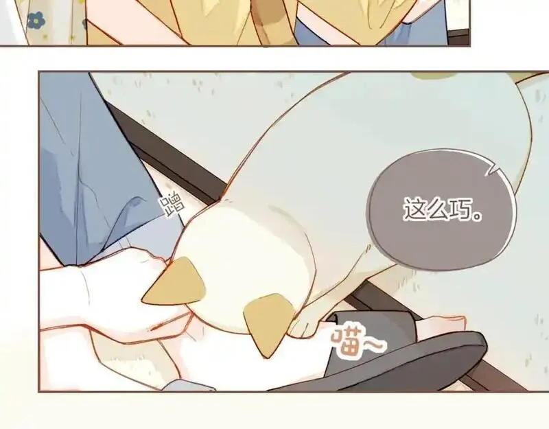 星星不可见漫画,第35话 受伤的话，会很疼吧？（下）6图