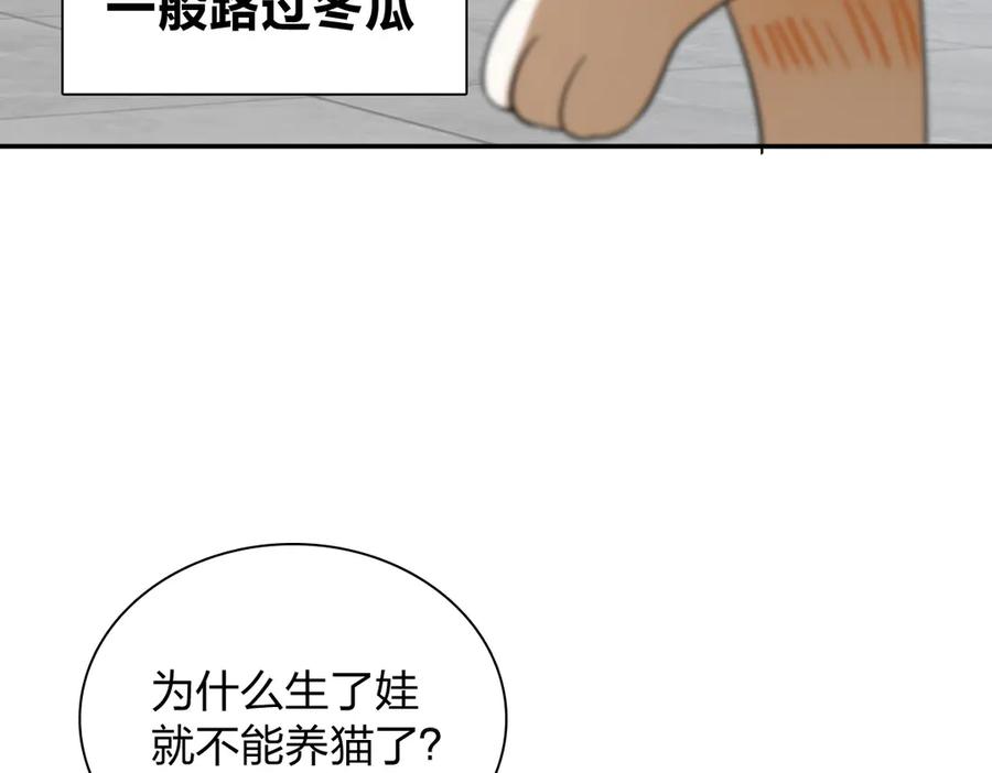 我家老婆来自一千年前漫画漫画,343100图