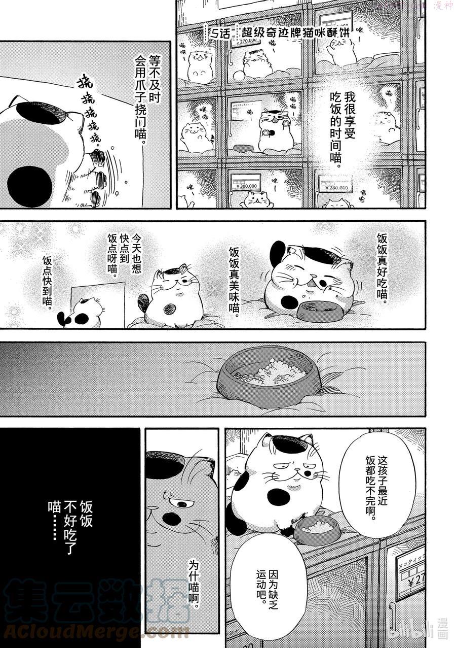 大叔与猫漫画,5 超级奇迹牌猫咪酥饼1图