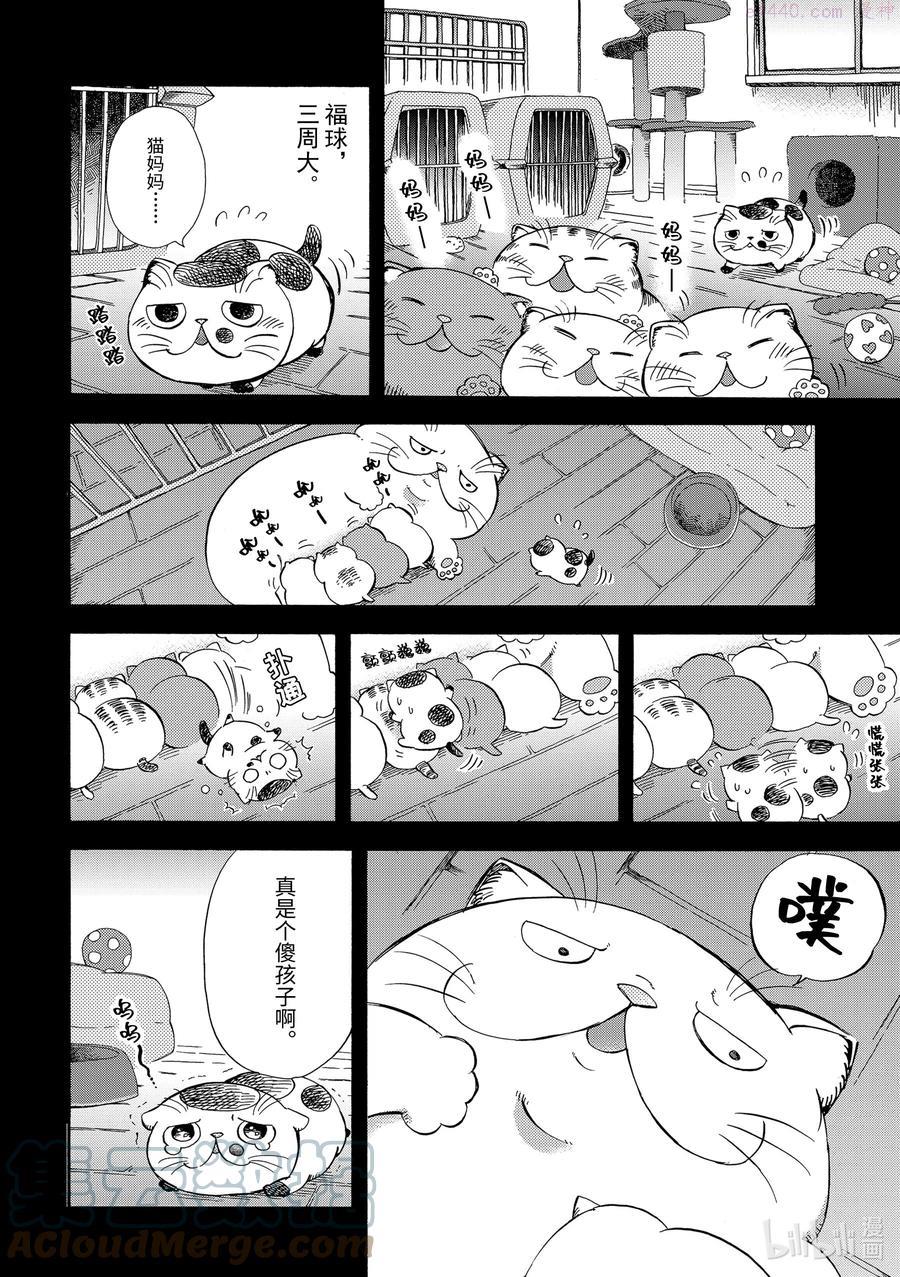 大叔与猫漫画,8 大叔晚安2图