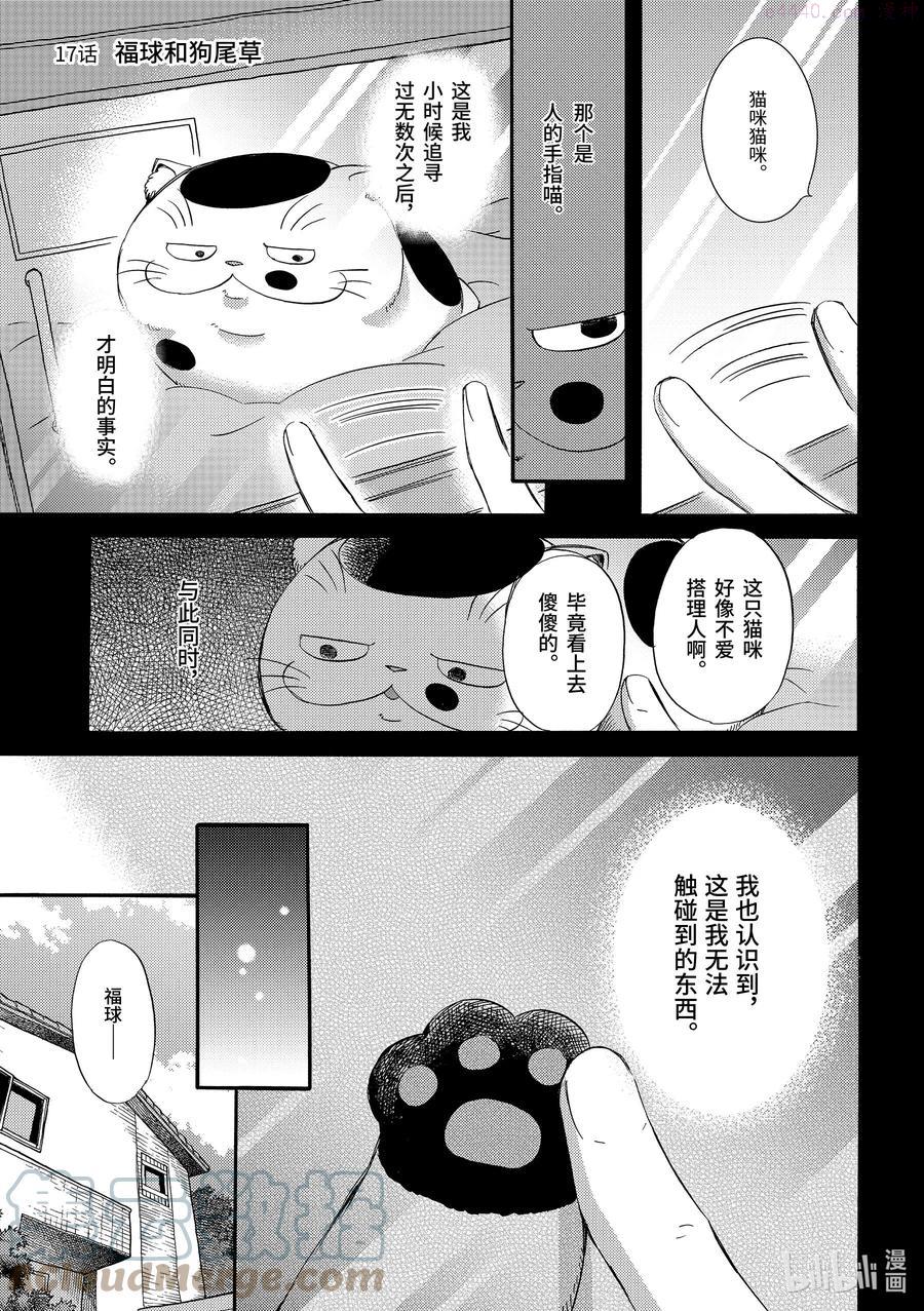 大叔与猫漫画,17 福球和狗尾草1图