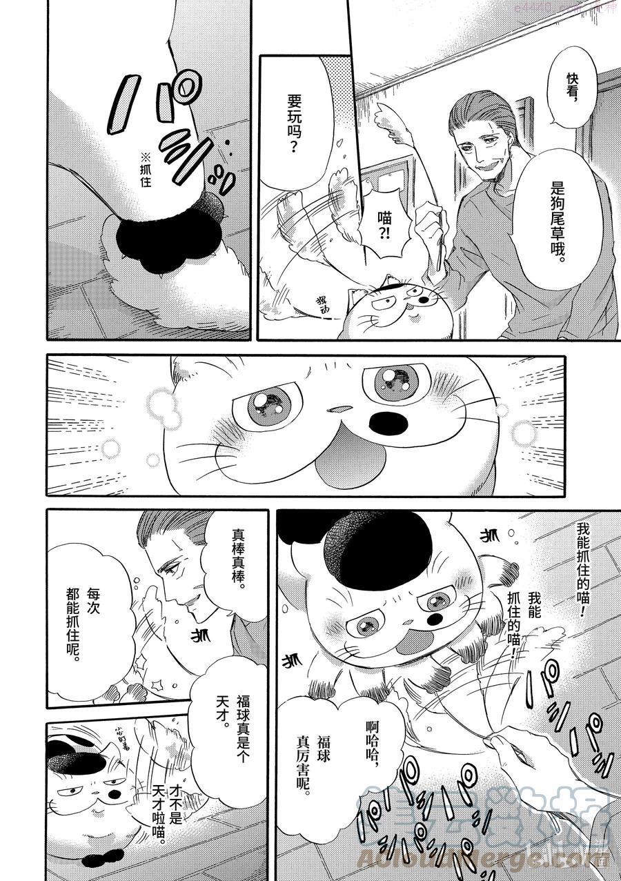 大叔与猫漫画,17 福球和狗尾草2图