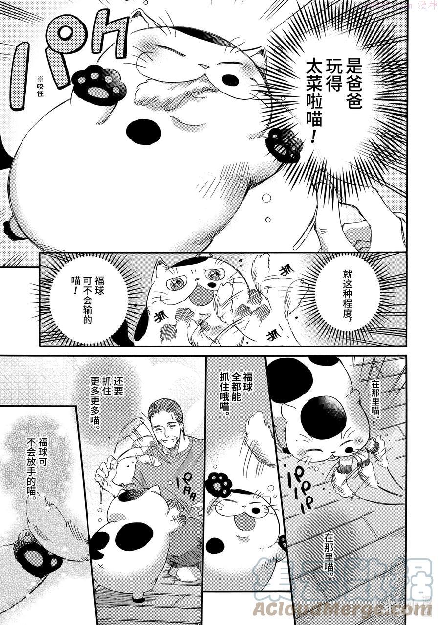 大叔与猫漫画,17 福球和狗尾草3图