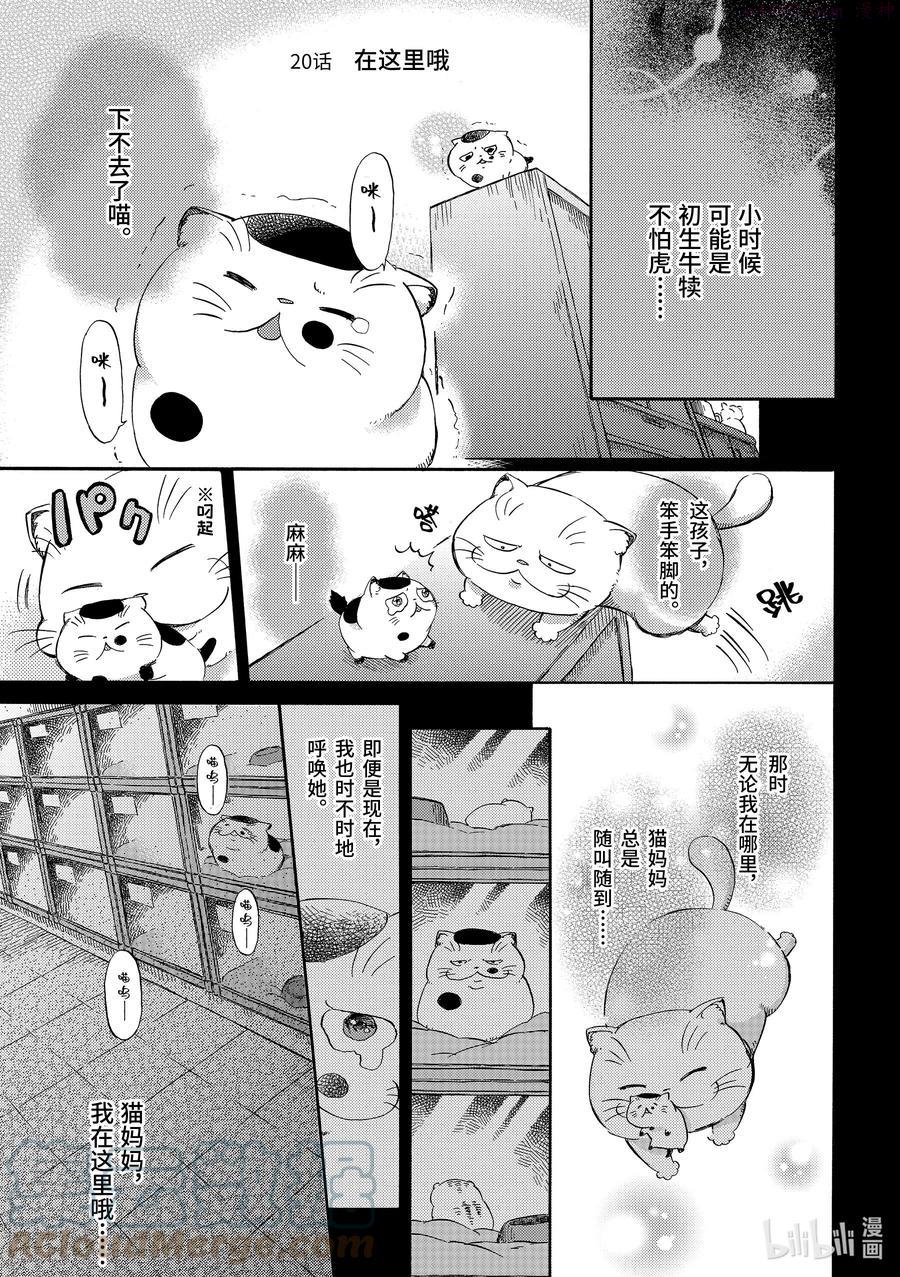 大叔与猫漫画,20 在这里哦1图