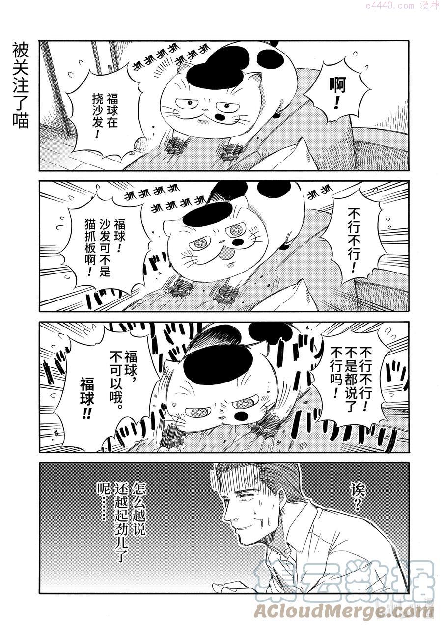 大叔与猫漫画,28 世上只有爸爸好5图