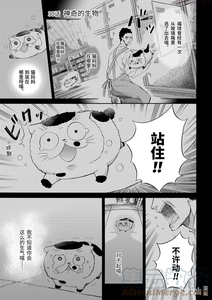 大叔与猫漫画,30 神奇的生物1图