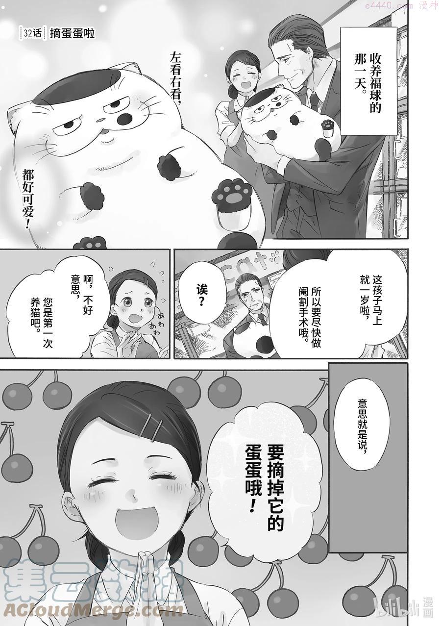 大叔与猫漫画,32 摘蛋蛋啦1图