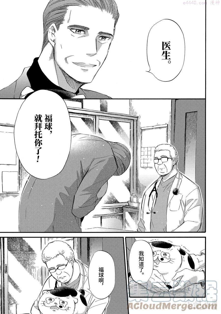 大叔与猫漫画,32 摘蛋蛋啦11图