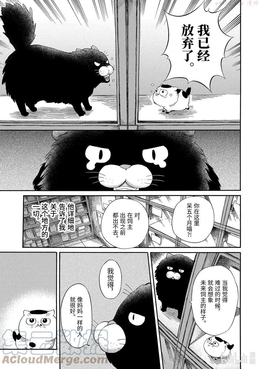 大叔与猫漫画,47 伤痕累累的缅因猫4图