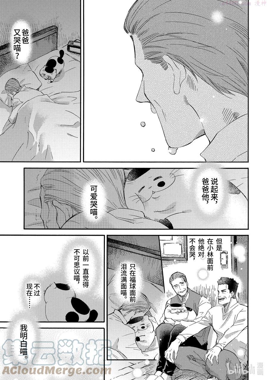 大叔与猫漫画,52 受挫喵3图