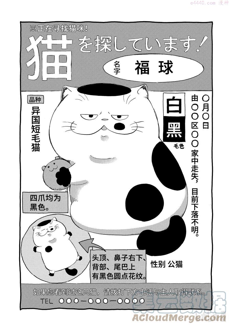 大叔与猫漫画,53 福球走丢了1图