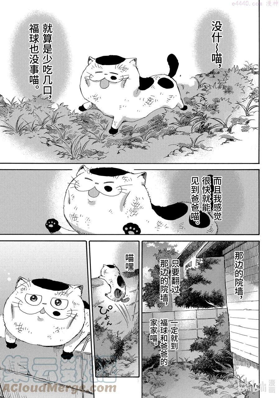 大叔与猫漫画,54 传达给你3图