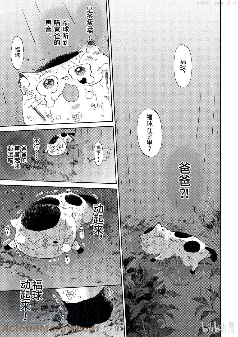 大叔与猫漫画,54 传达给你11图