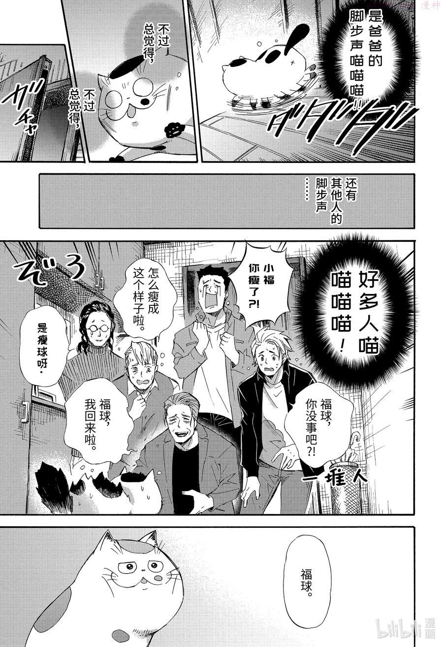 大叔与猫漫画,58 福球和快乐的伙伴们12图