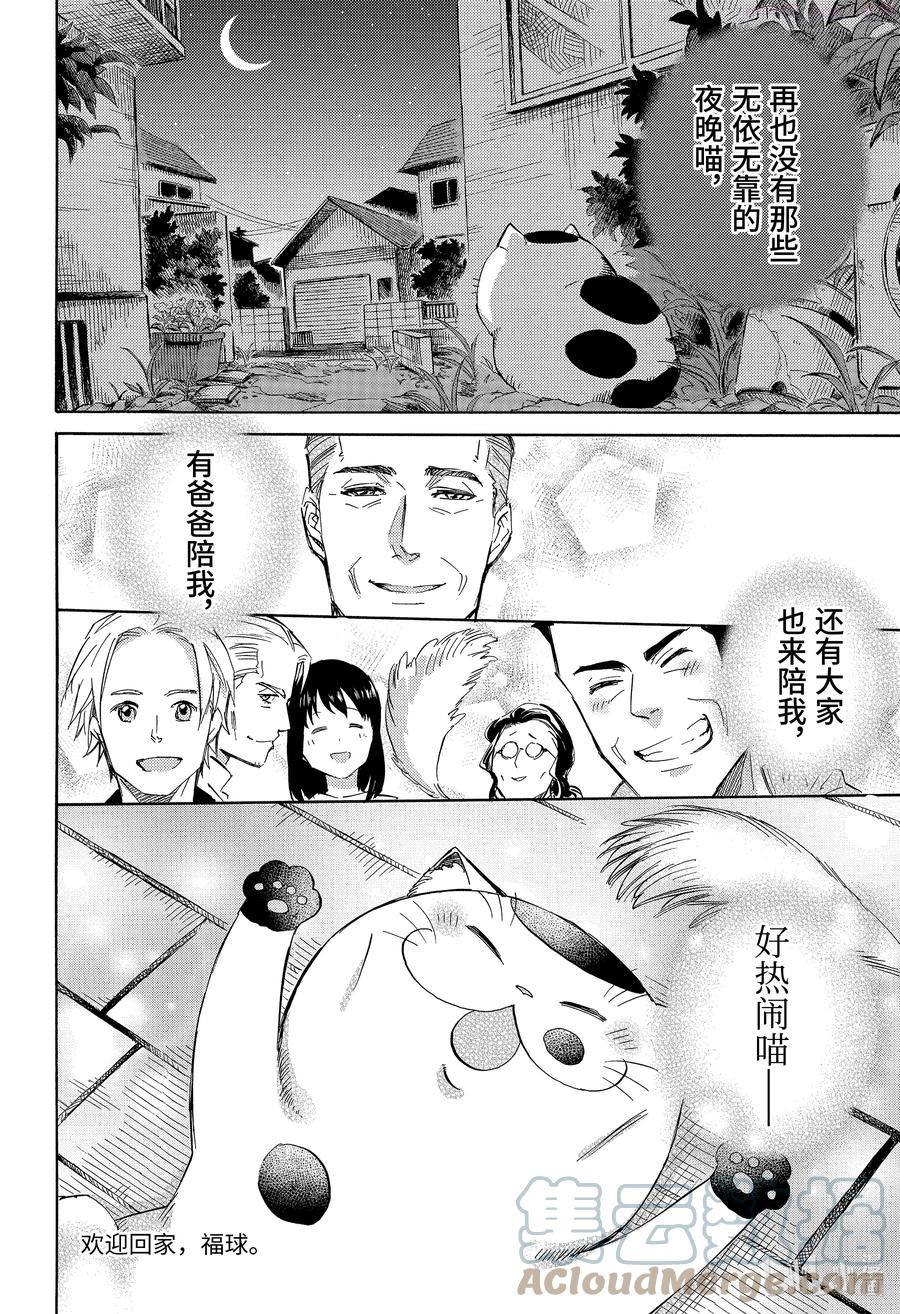 大叔与猫漫画,58 福球和快乐的伙伴们19图