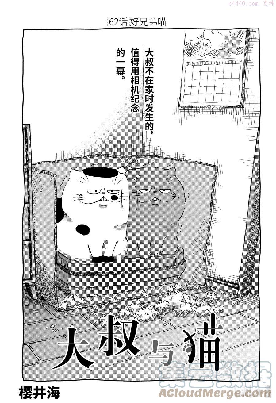 大叔与猫漫画,62 好兄弟喵1图