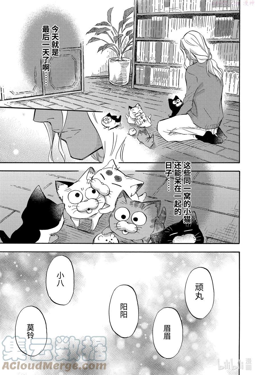 大叔与猫漫画,71 71话19图