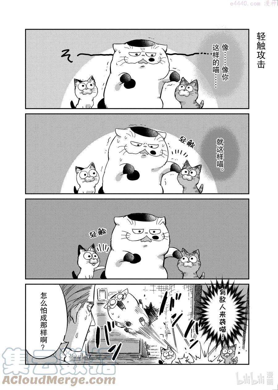 大叔与猫漫画,71.5 番外2图