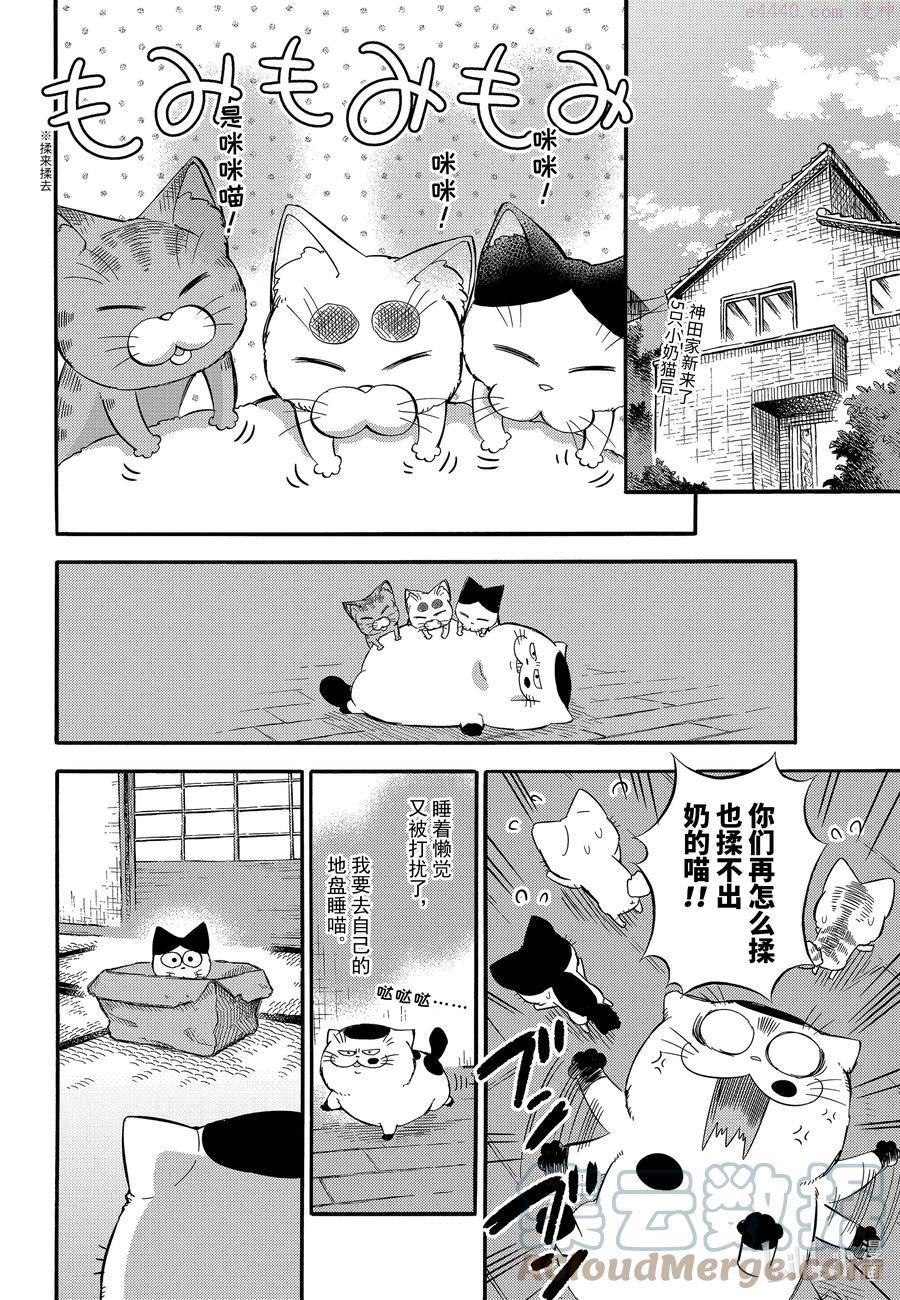 大叔与猫免费观看漫画,73 发生紧急情况喵2图