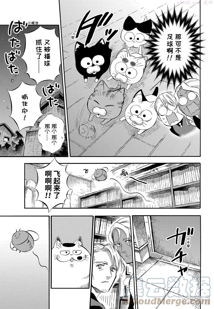 大叔与猫漫画,75 笑一个喵15图