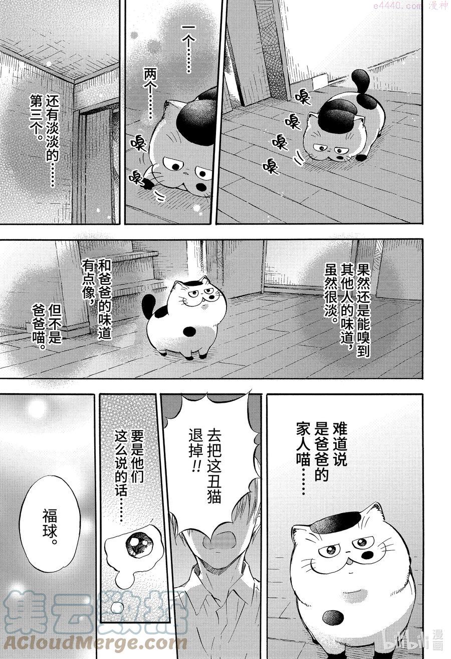 大叔与棉花糖结局漫画,76 爸爸的孩子喵3图