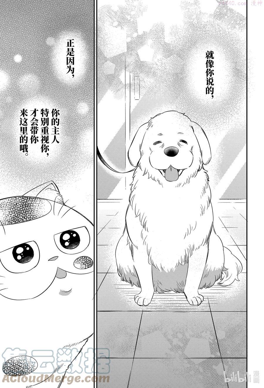 大叔与猫漫画,81 和爸爸的约定喵17图