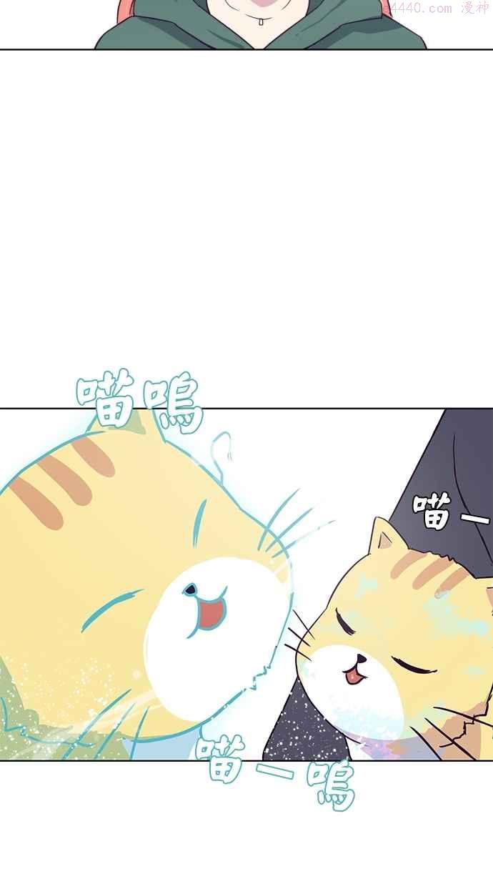 死神少年漫画,[第7话] 猫咪的灵魂96图