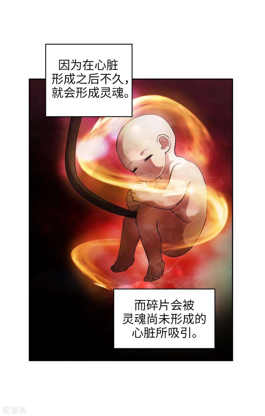 阿多尼斯我的孤独是一座花园原文漫画,278.我被追杀的原因 24图