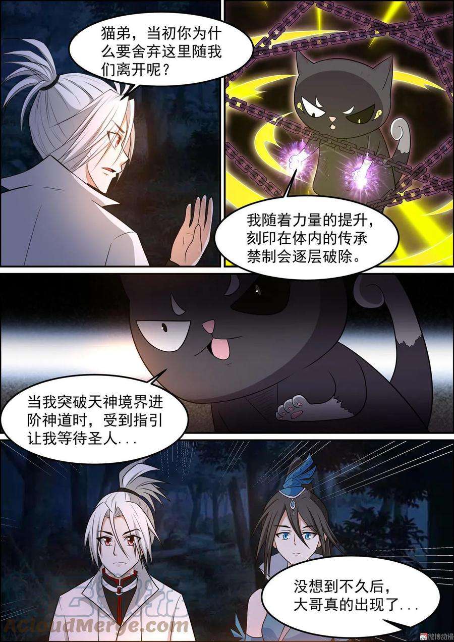 白色圣族漫画,第173话 猫弟的身份 4图