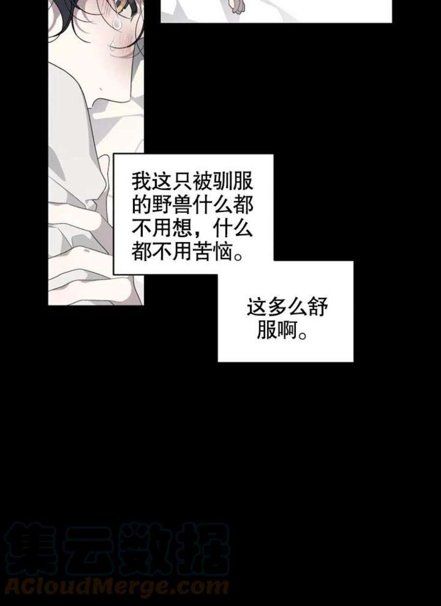 被恶女驯服的野兽漫画,第01话 40图