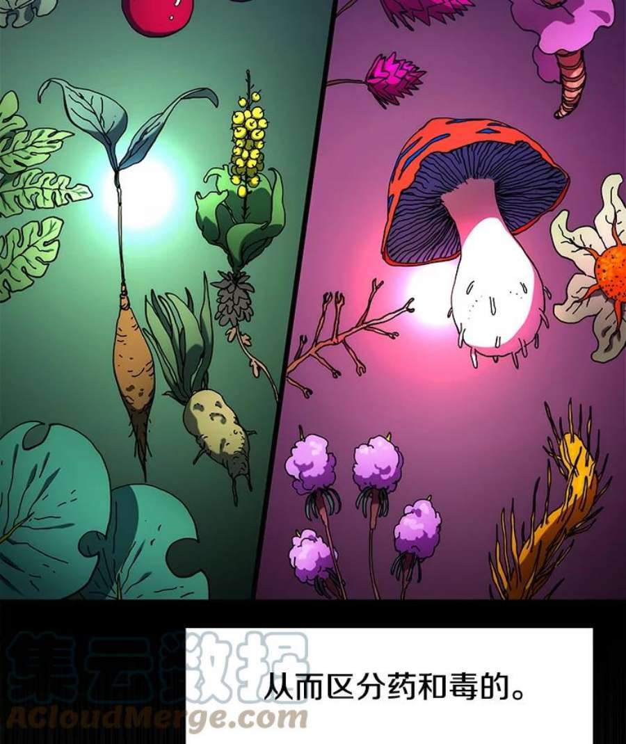 被圣座们偏爱的我漫画,28.舍命相救 13图