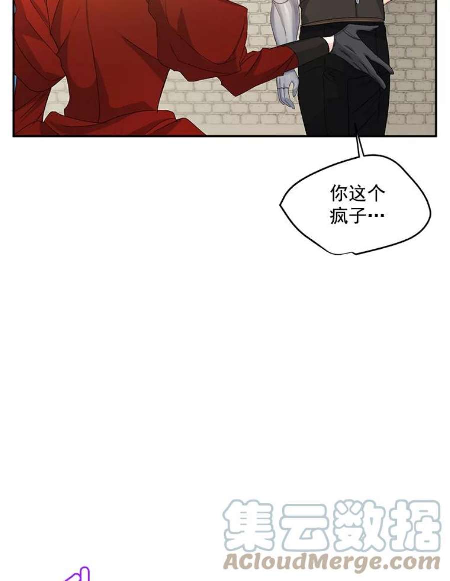 伯爵孤女的重生全集解说漫画,21.科特·特雷日 31图