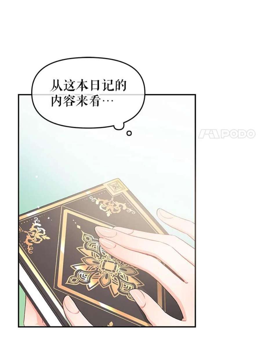 不要相信那本日记漫画,2.预言日记 28图