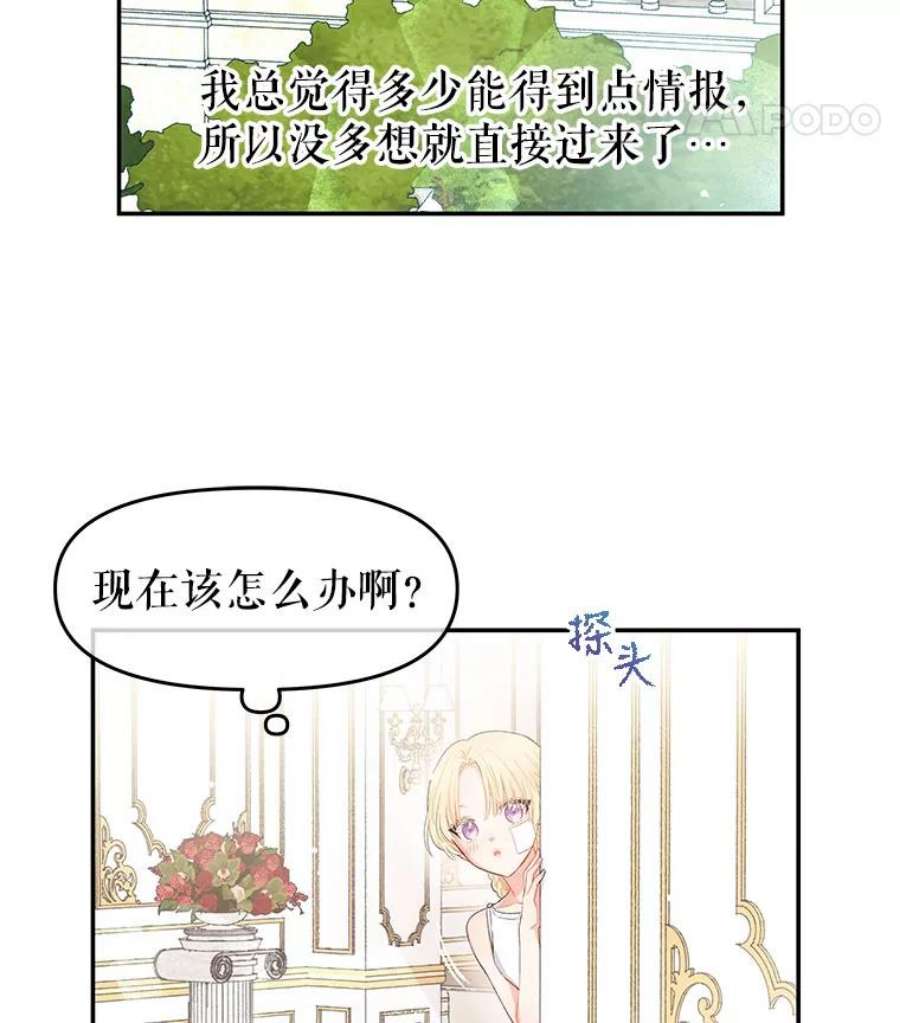 不要相信那本日记漫画,2.预言日记 72图