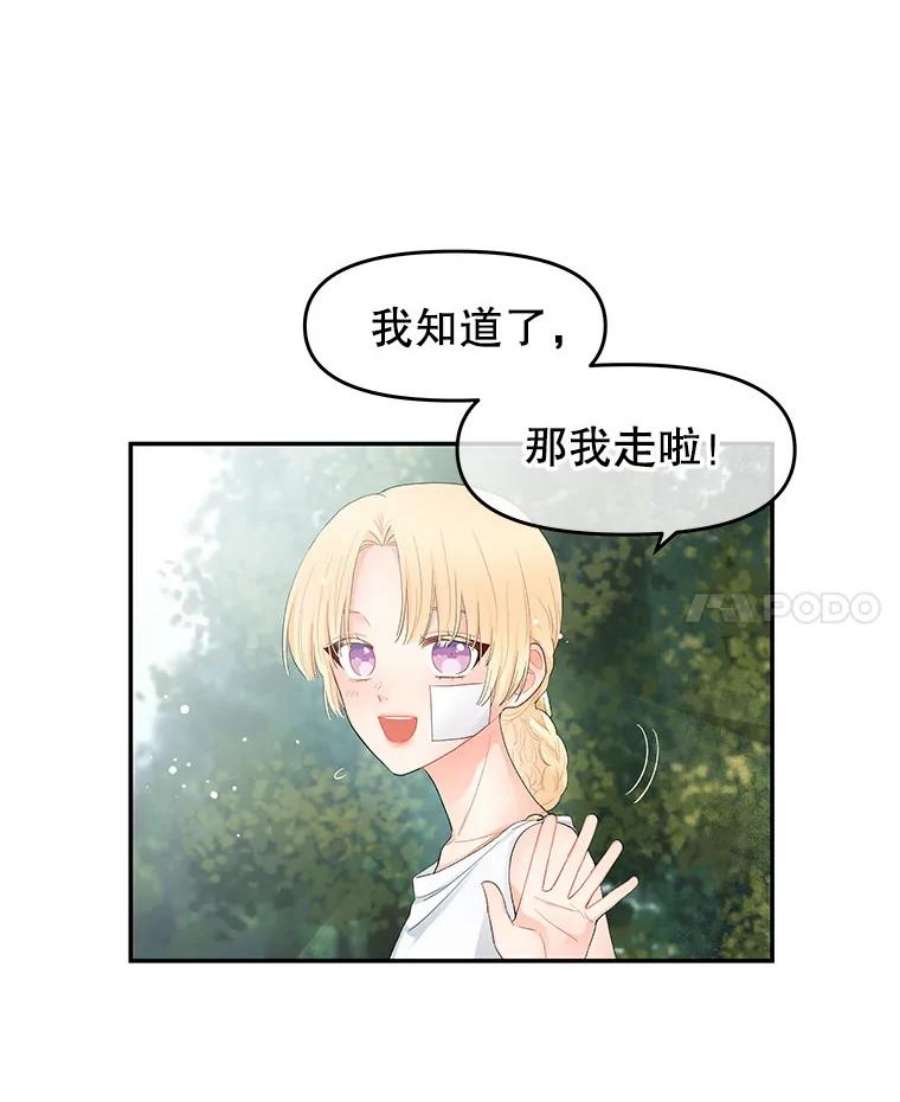 不要相信那本日记漫画,7.结盟（1） 44图