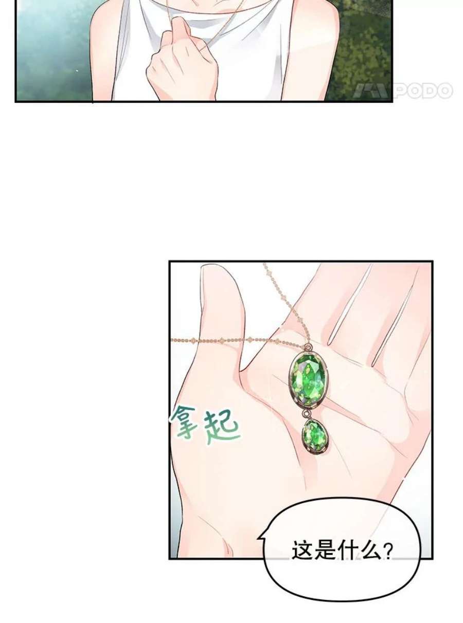 不要相信那本日记漫画,7.结盟（1） 41图