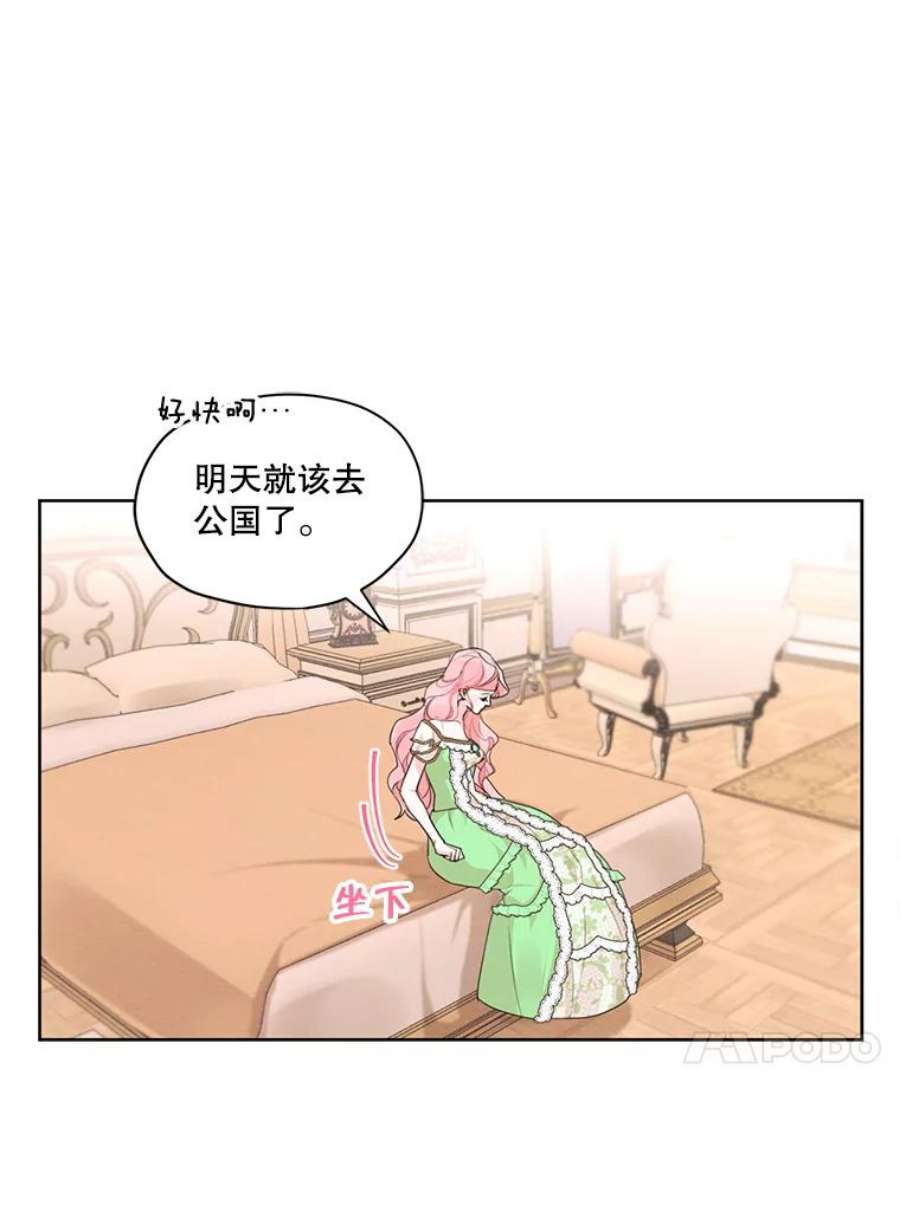 穿越成男主的前女友漫画,29.到达大公府 20图