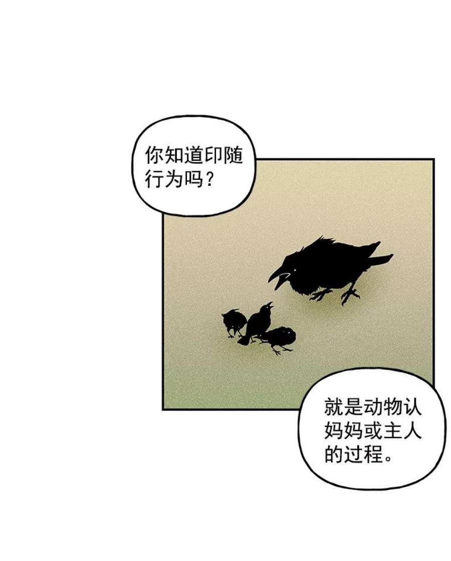 大魔法师的女儿漫画,16.小时候的期盼 92图