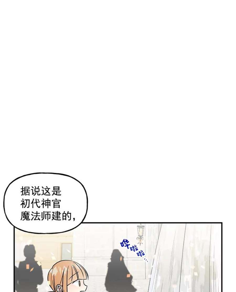 大魔法师的女儿免费观看漫画,20.传令鸟 72图