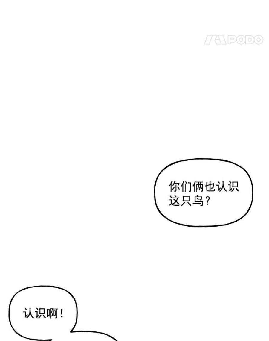 大魔法师的女儿免费观看漫画,20.传令鸟 48图